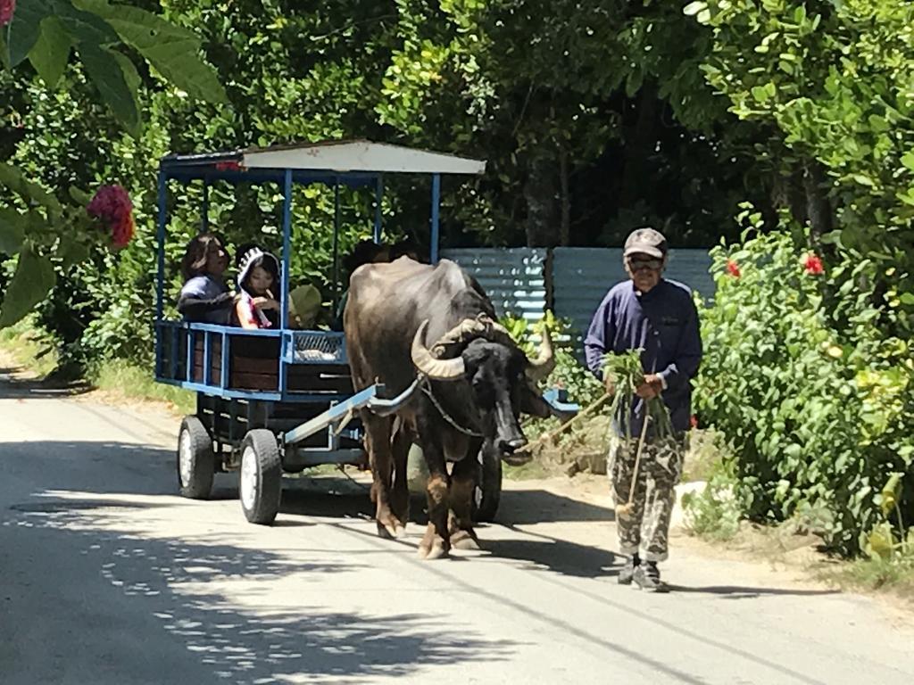 Pensjonat Bise House Motobu Zewnętrze zdjęcie